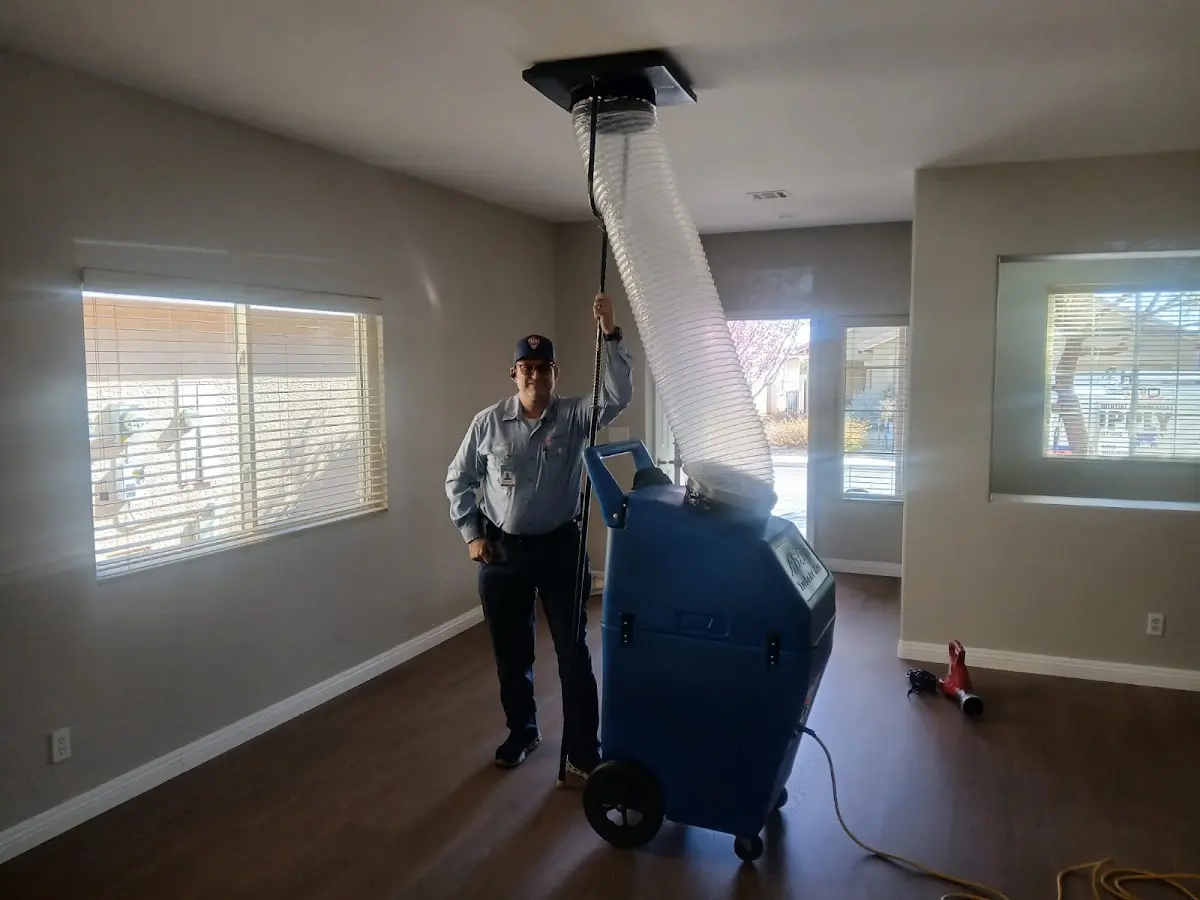 Professional Dryer Vent Cleaning work inside a Port Wentworth home